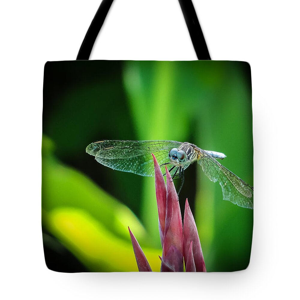 Dragonfly Tote Bag featuring the photograph Chomped Wing by TK Goforth