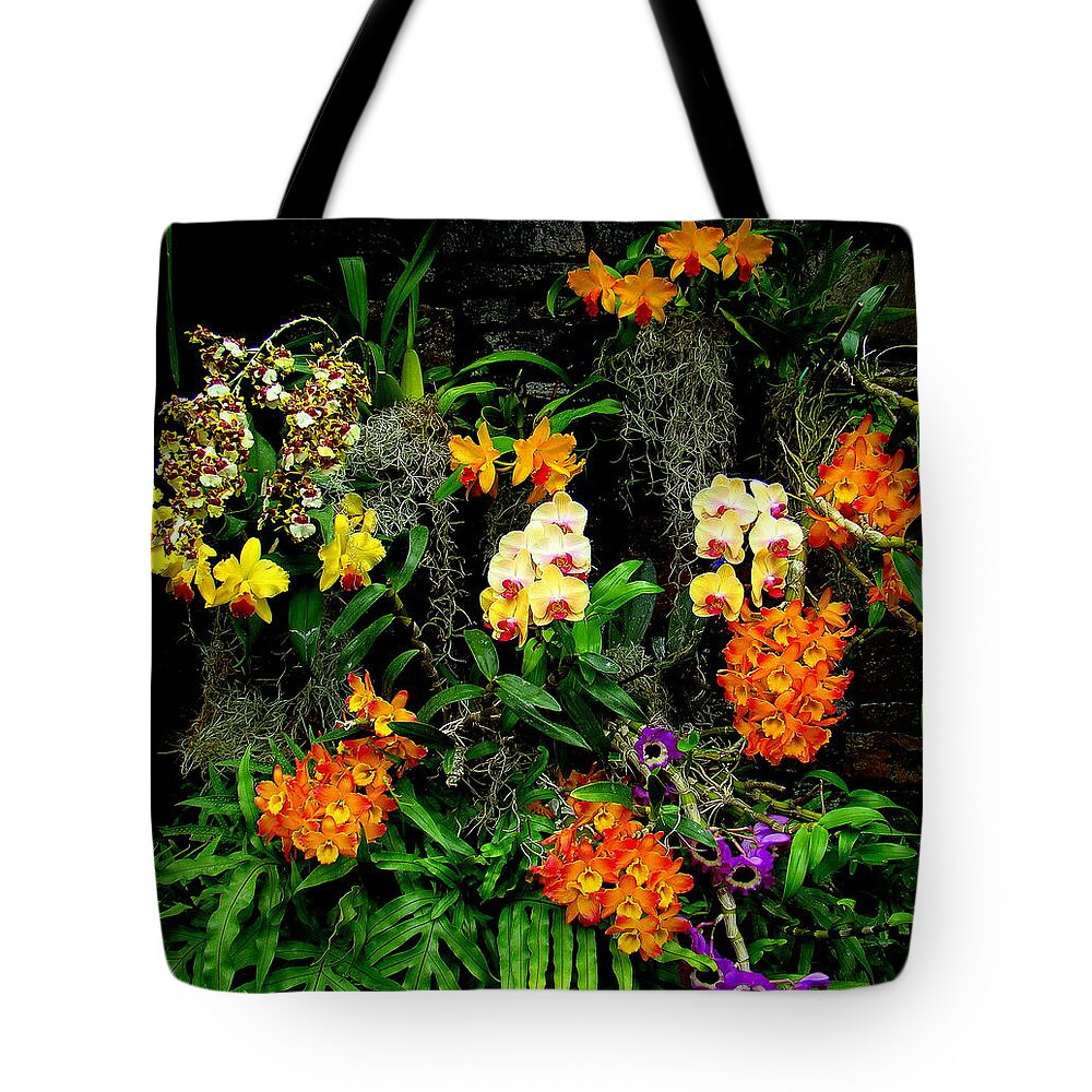 Fine Art Tote Bag featuring the photograph Chorus by Rodney Lee Williams