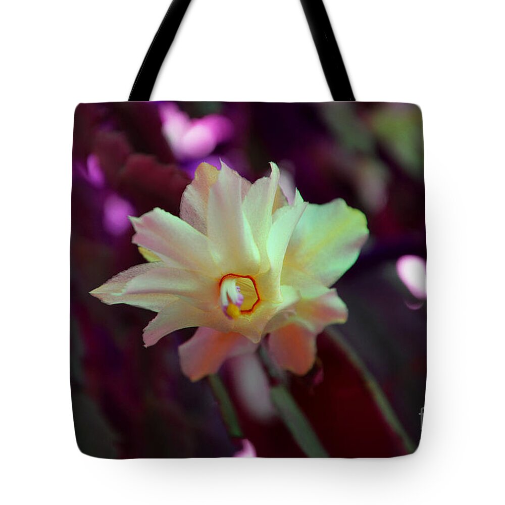 Cactus Tote Bag featuring the photograph Christmas Cactus Flower by Ramona Matei