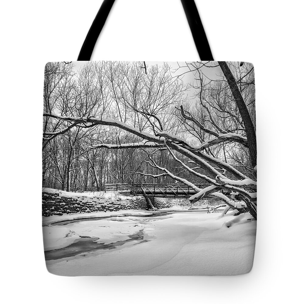 Www.cjschmit.com Tote Bag featuring the photograph Christmas Day B and W by CJ Schmit