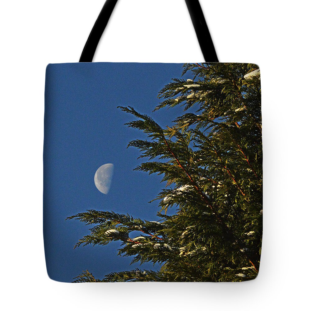 Christmas Tote Bag featuring the photograph Christmas Moon Tree by Bill Swartwout