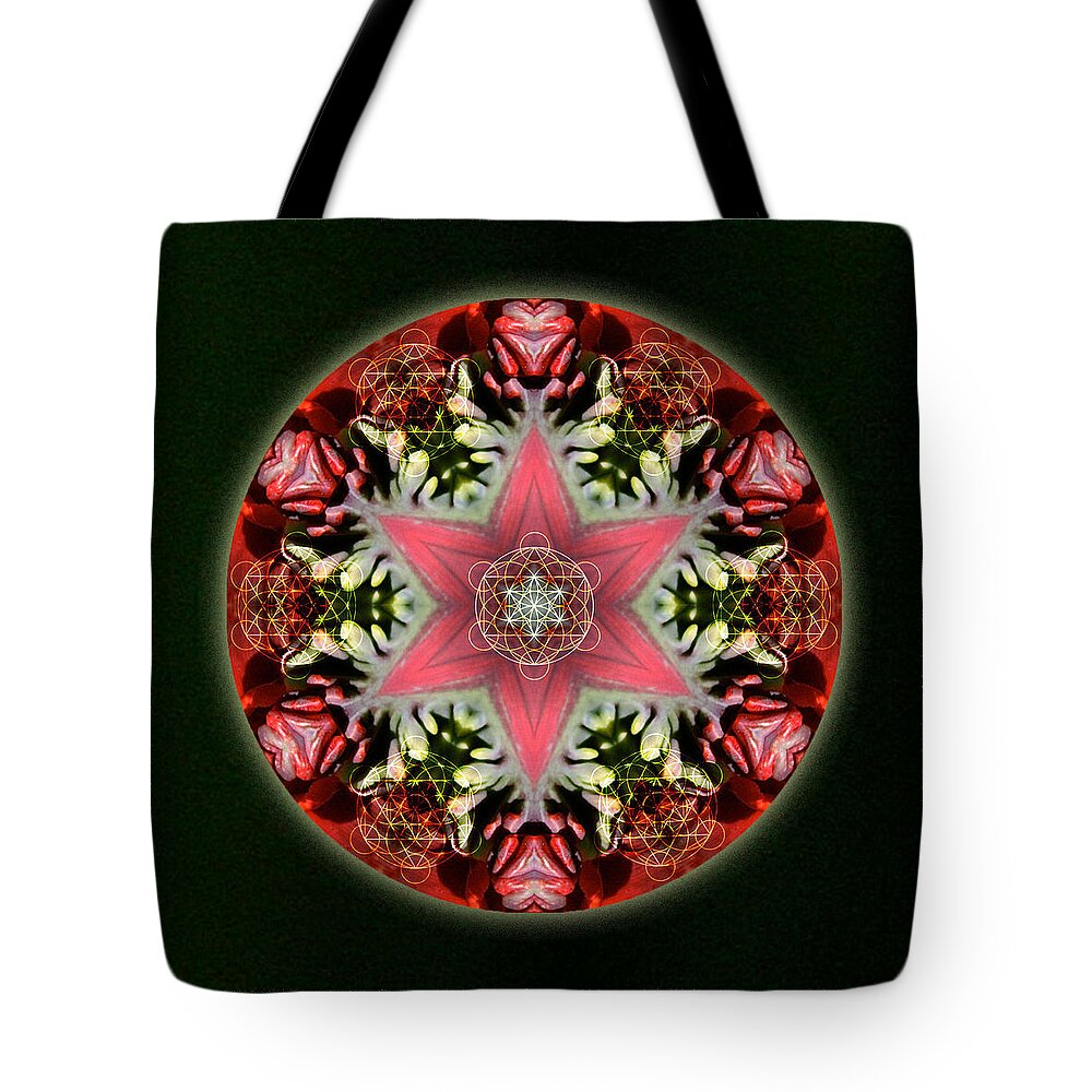 Mandala Tote Bag featuring the mixed media Christmas Star by Alicia Kent