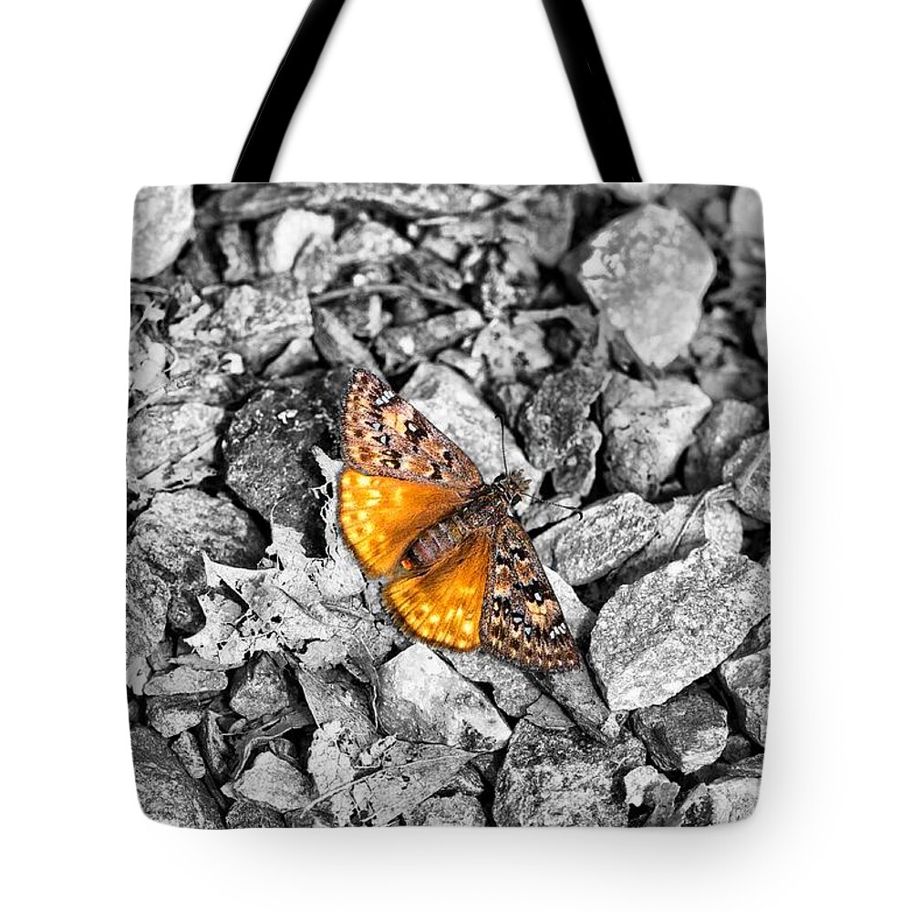 Love The Story Behind This One. My Daughters And I Were On A Hike And My Oldest Daughter Said stop Tote Bag featuring the photograph Chrysalis by Spencer Hughes