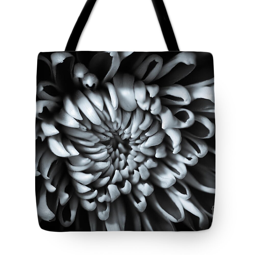Chrysanthemum Tote Bag featuring the photograph Chrysanthemum Petals by Matt Malloy