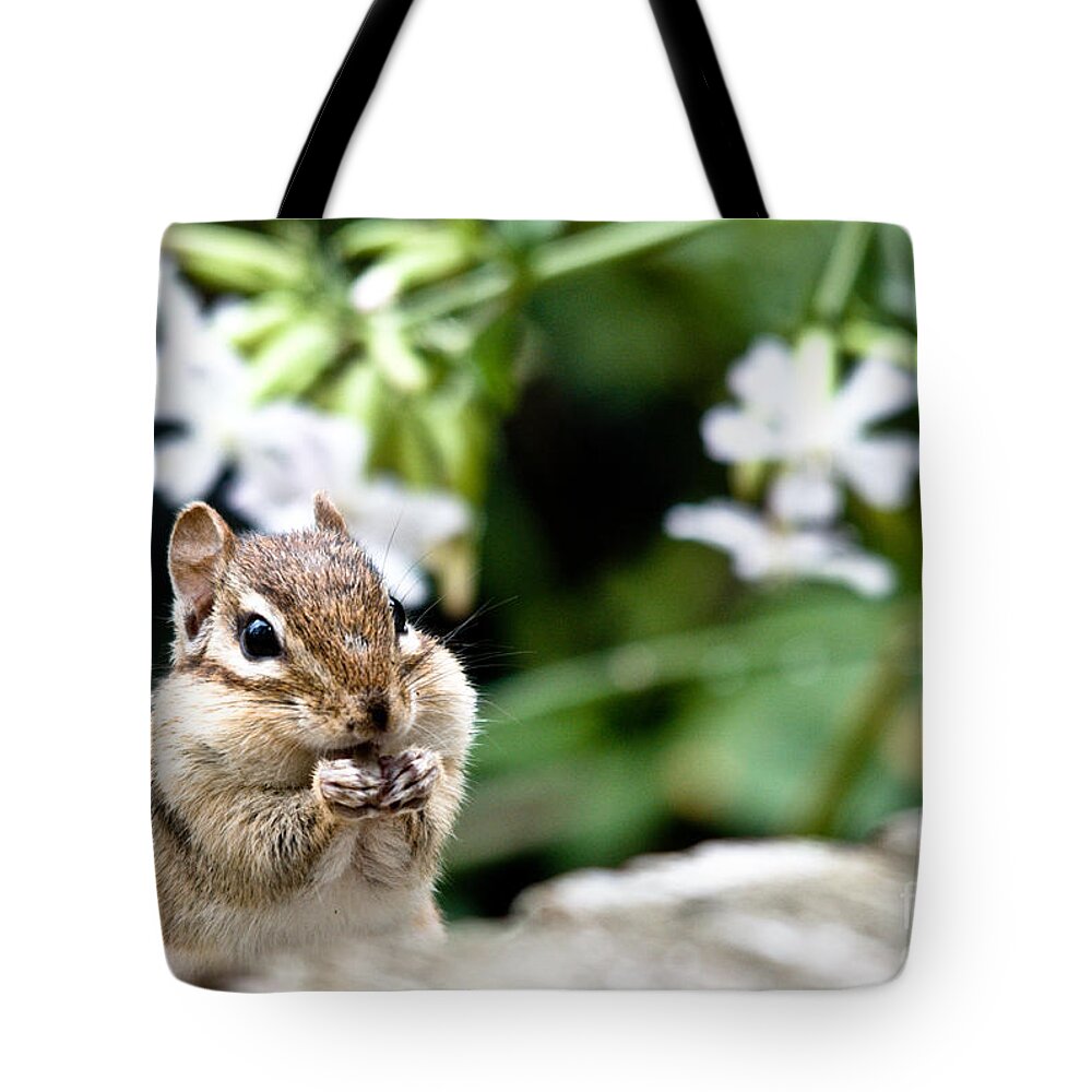 Chipmunk Tote Bag featuring the photograph Chubby Cheeks by Cheryl Baxter