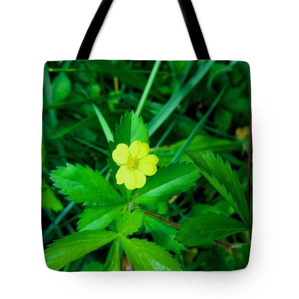  Yellow Tote Bag featuring the photograph Cinqfoil Beauty by Kendall Kessler