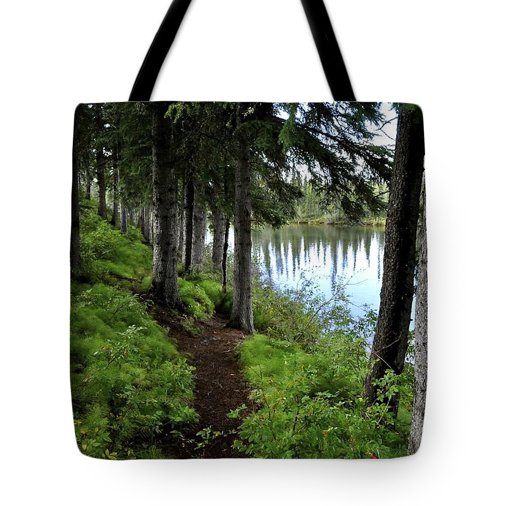 Clearwater River Tote Bag featuring the photograph Clearwater River Trail by Cathy Mahnke