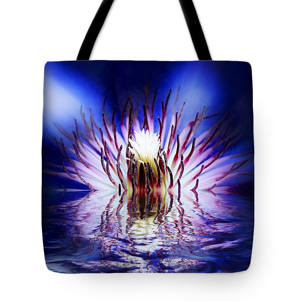 Clematis Tote Bag featuring the photograph Clematis Rising by Nick Kloepping