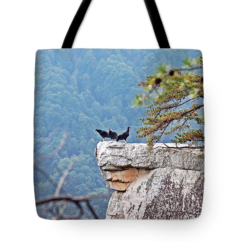Bird Tote Bag featuring the photograph Cliff Hanging by Aimee L Maher ALM GALLERY