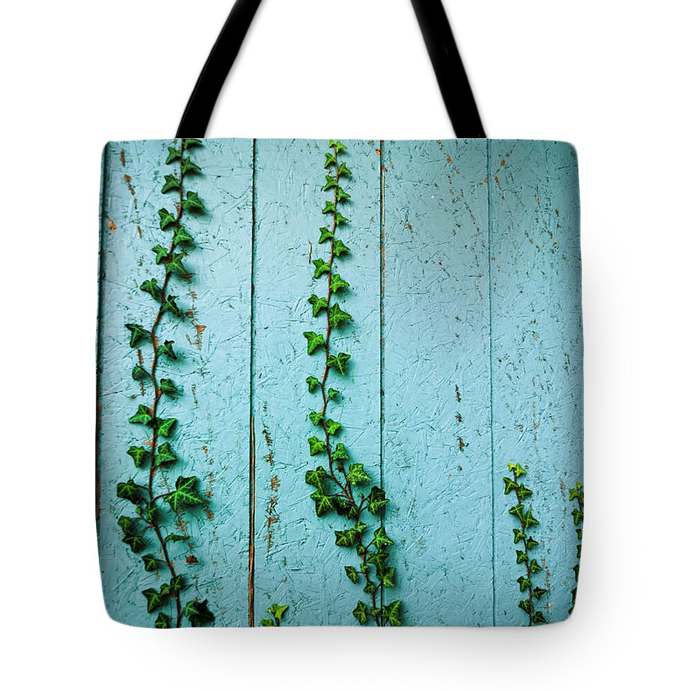 Climb Tote Bag featuring the photograph Climbing Ivy by Amy Cicconi