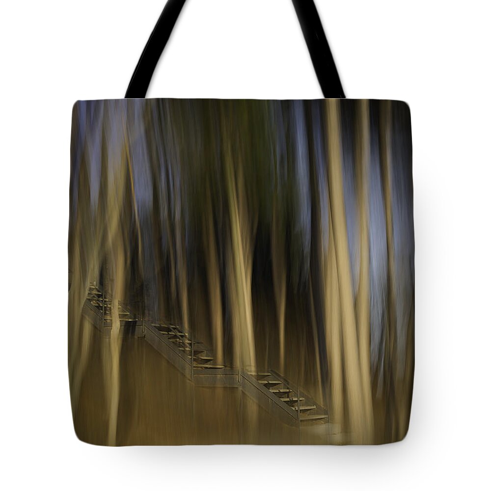 Abstract Tote Bag featuring the photograph Climbing Stairs Into The Forest by Thomas Young