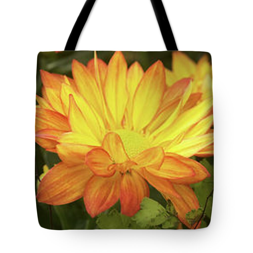 Photography Tote Bag featuring the photograph Close-up Of Fall Flowers by Panoramic Images