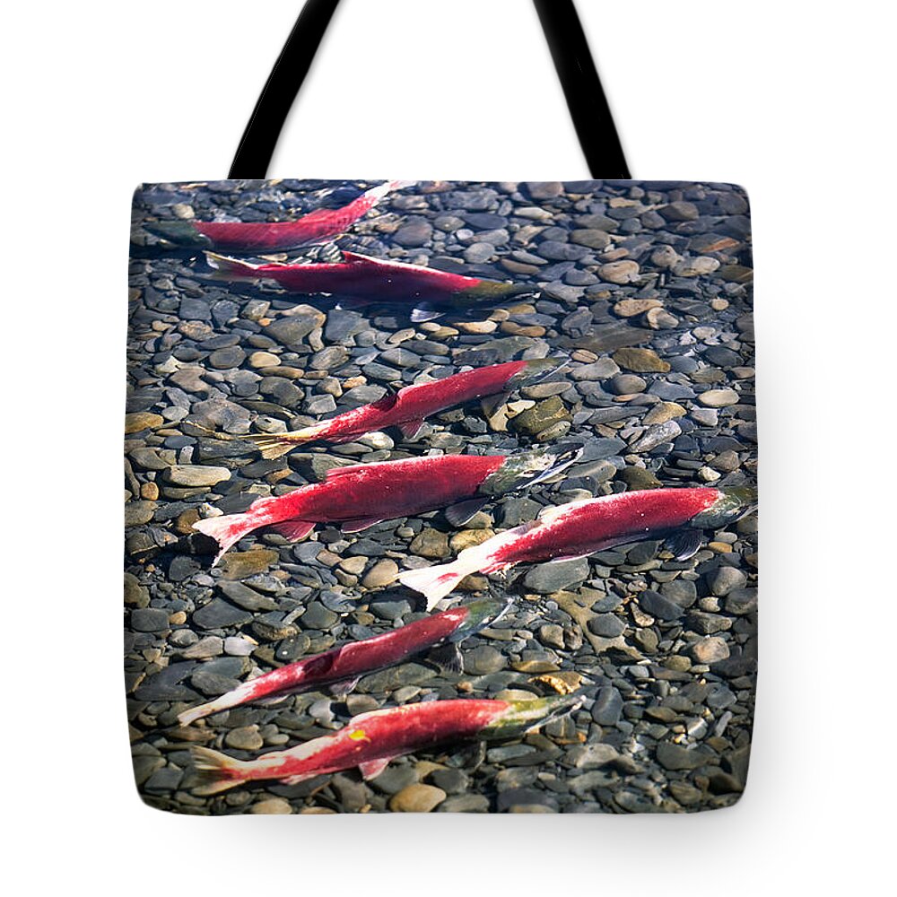 Photography Tote Bag featuring the photograph Close-up Of Fish In Water, Sockeye by Panoramic Images
