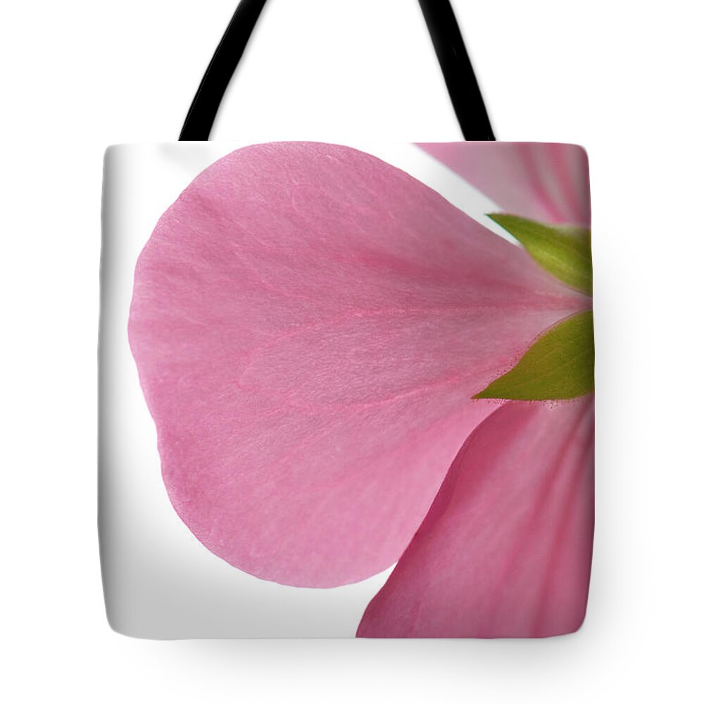 White Background Tote Bag featuring the photograph Close-up Of Pink Geranium Flower Petals by Daryl Solomon