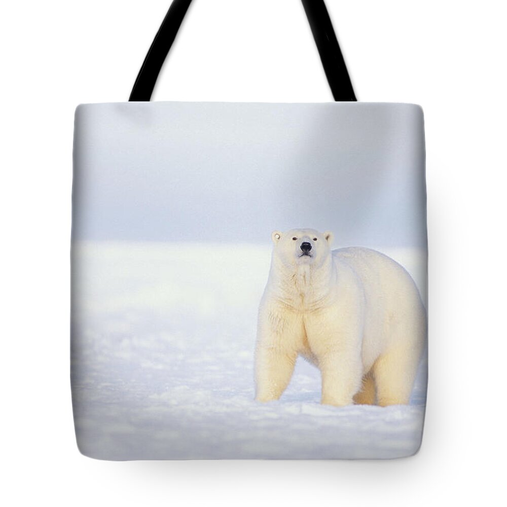 Kazlowski Tote Bag featuring the photograph Close Up Of Polar Bear On Snow Near by Steven Kazlowski