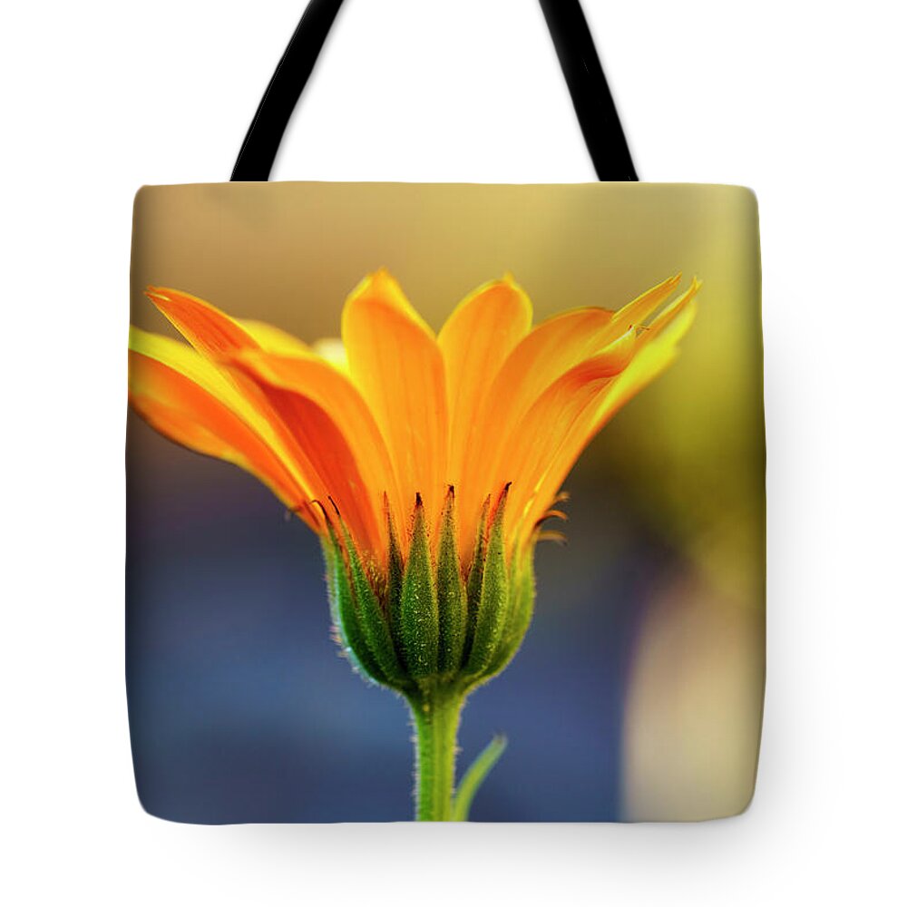 Detail Tote Bag featuring the photograph Close Up Of Yellow Flower Blossoming by John Short