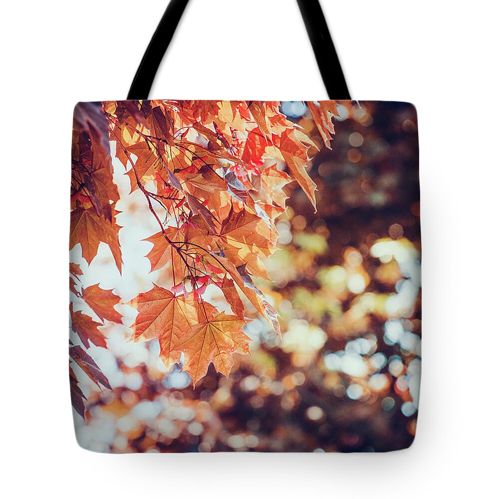Tranquility Tote Bag featuring the photograph Closeup Of Colorful Maple Leaves In by D3sign