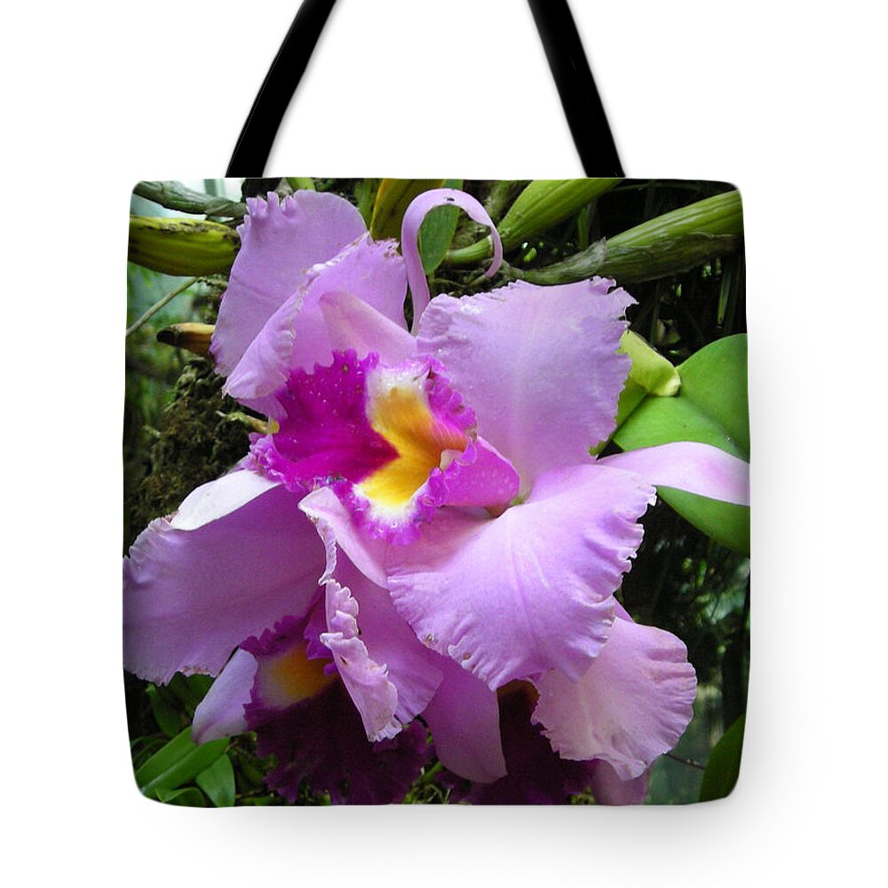 Orchid Tote Bag featuring the photograph Closeup of Lavender Orchid by Scarebaby Design