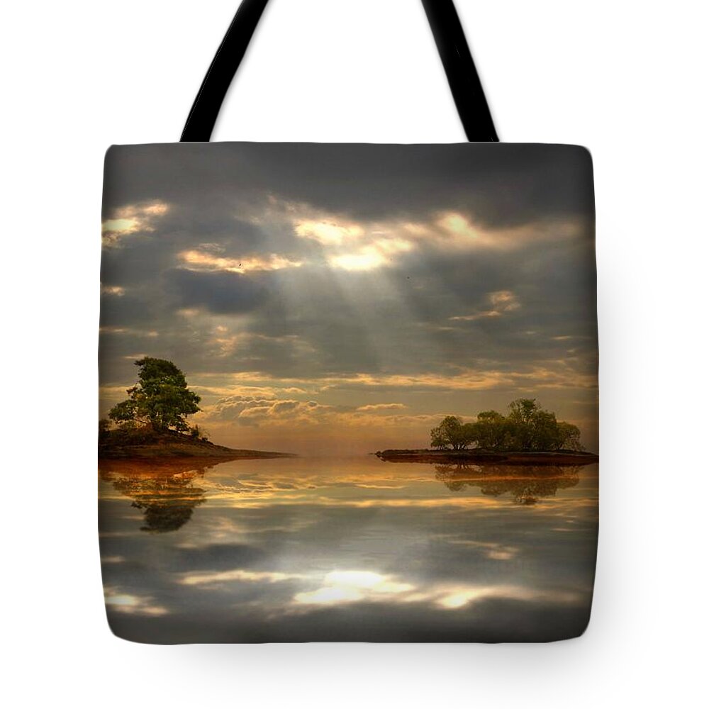 Dreamy Landscape Tote Bag featuring the digital art Cloudy afternoon by Lilia D