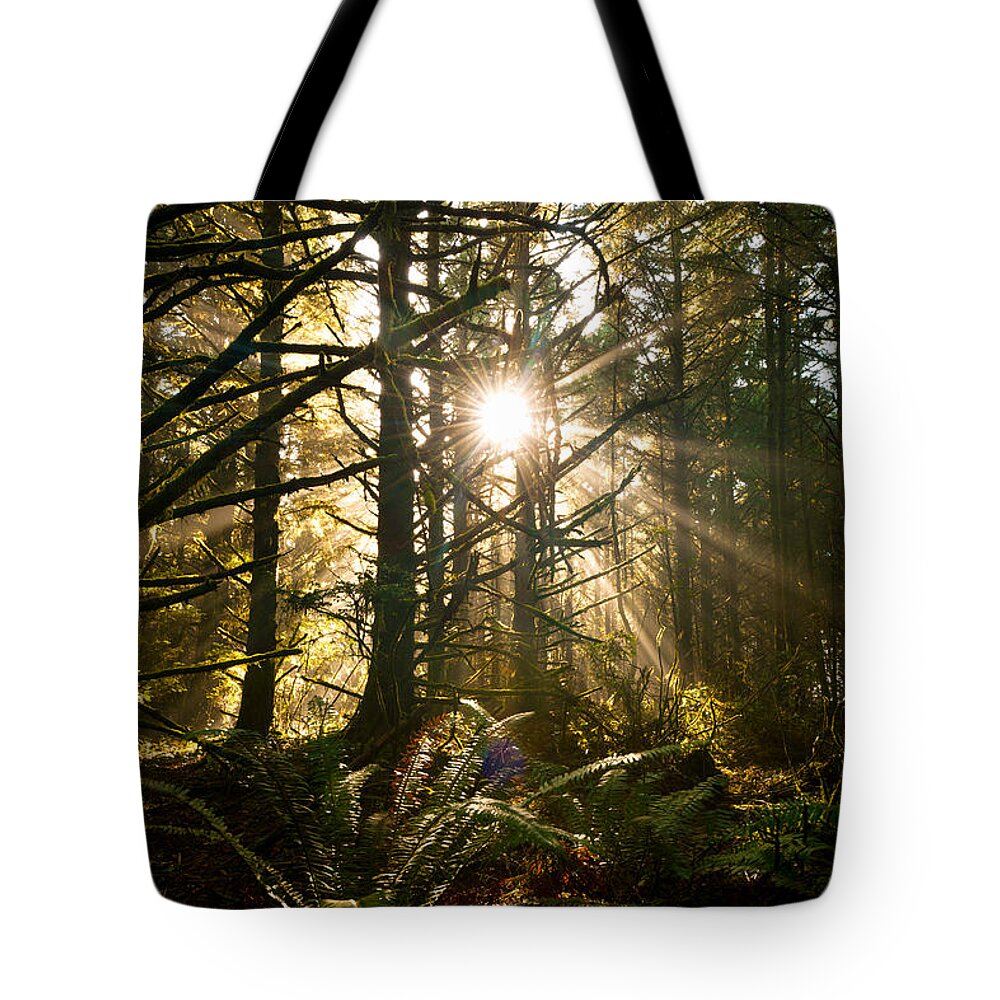 Oregon Tote Bag featuring the photograph Coastal Forest by Andrew Kumler