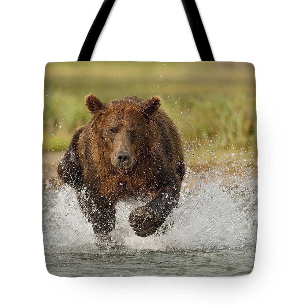 Fredriksson Tote Bag featuring the photograph Coastal Grizzly Boar Fishing by Kent Fredriksson