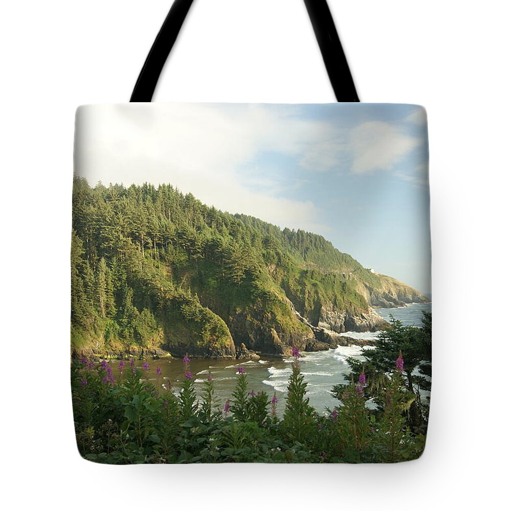  Coast Tote Bag featuring the photograph Coastal Watch by Beth Collins