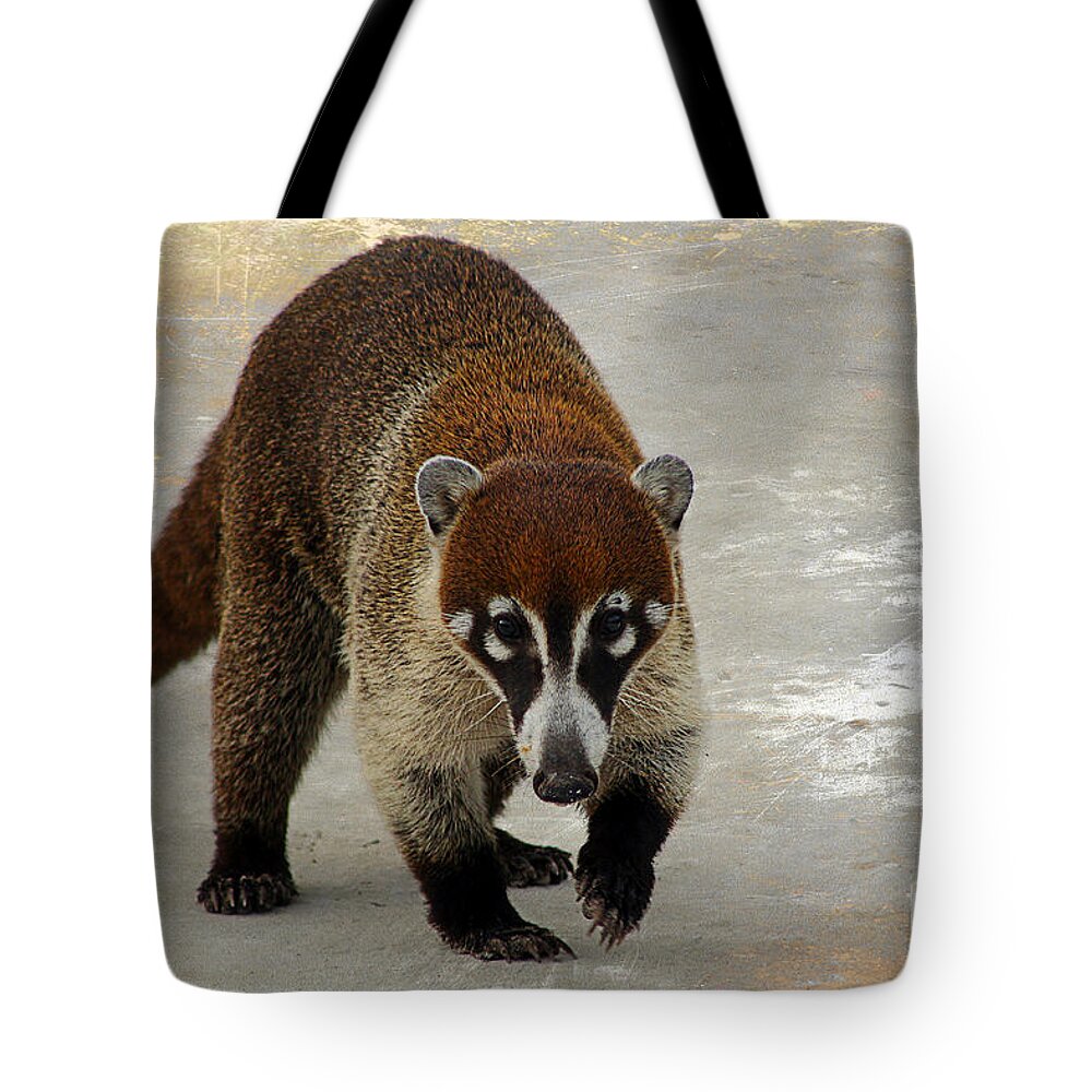 Animal Tote Bag featuring the photograph Coatimundi 2 by Teresa Zieba