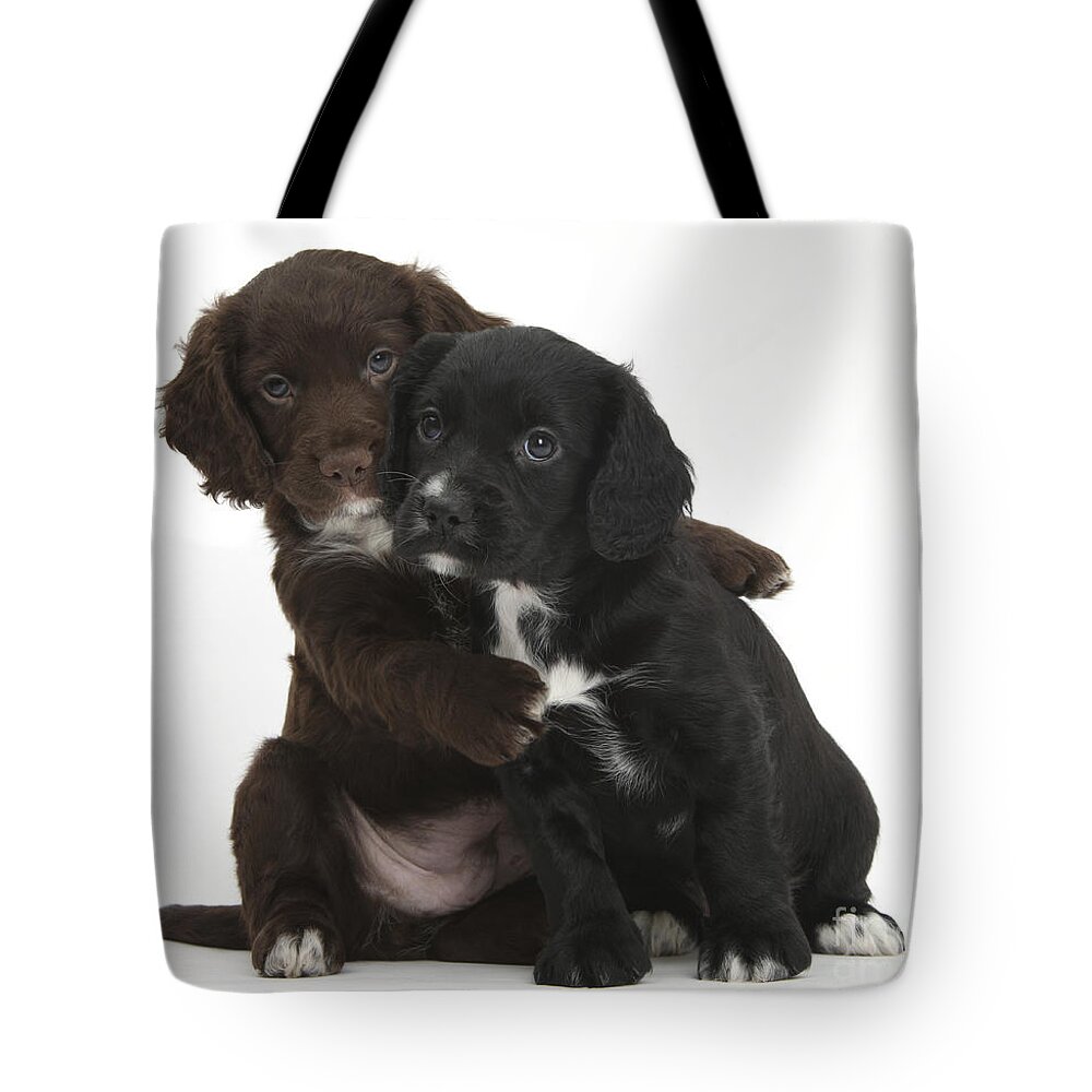 Black And Chocolate Cocker Spaniel Puppies Tote Bag featuring the photograph Cocker Spaniel Puppies by Mark Taylor