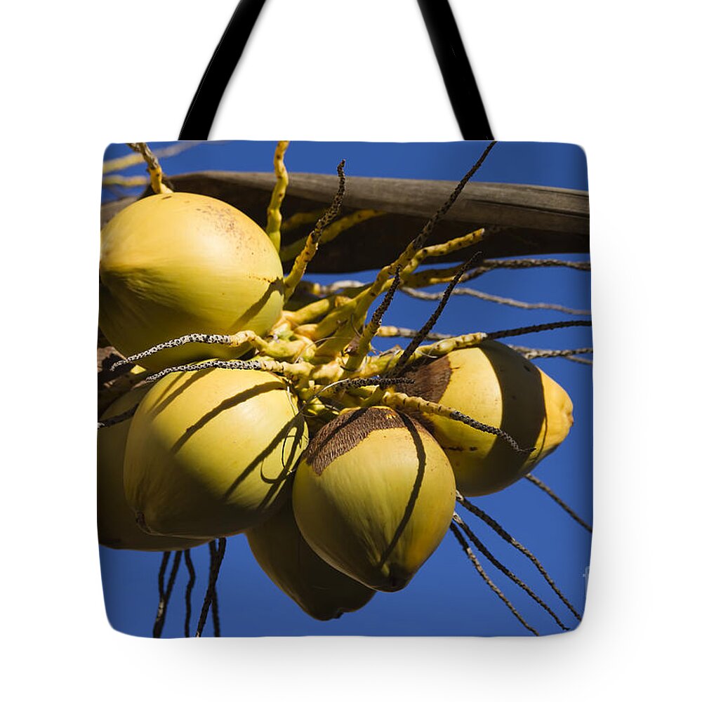 Coconut Tote Bag featuring the photograph Coconut 1 by Teresa Zieba