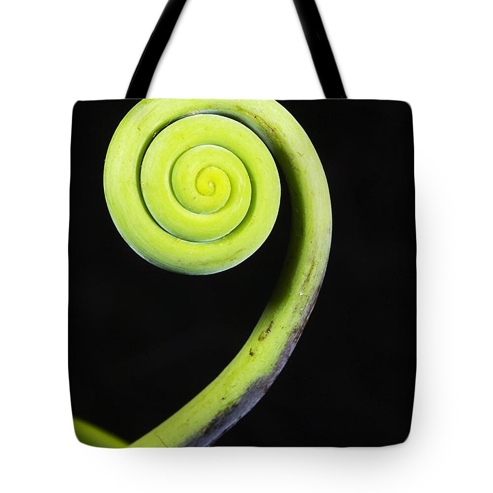 Feb0514 Tote Bag featuring the photograph Coiled Vine Dominican Republic by Kevin Schafer