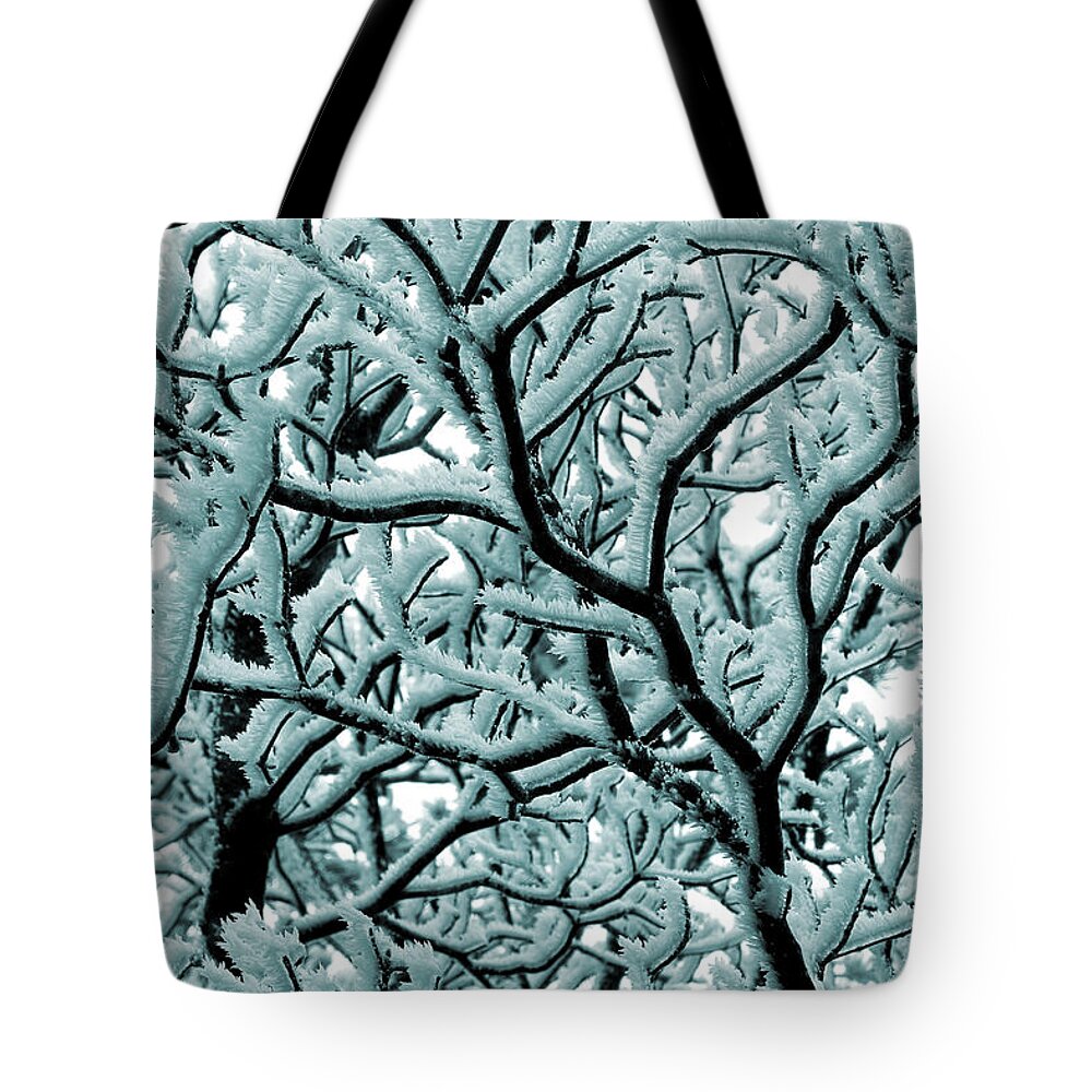 Frosted Tree Tote Bag featuring the photograph Cold Frosted Limbs Above by Michael Eingle