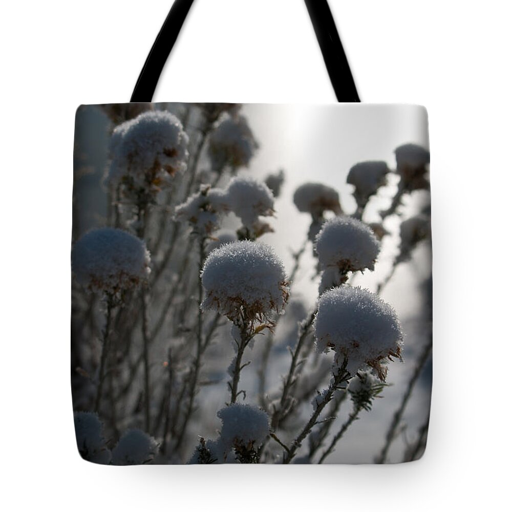 Winter Tote Bag featuring the photograph Cold Winter Light by Cascade Colors
