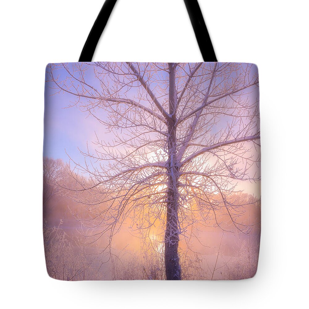Fog Tote Bag featuring the photograph Cold Winter Morning by Darren White
