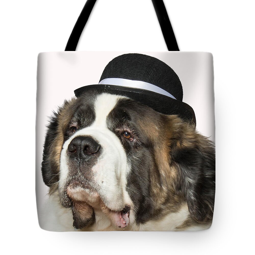 Wall Art Tote Bag featuring the photograph Cole the St Bernard by Ron Roberts