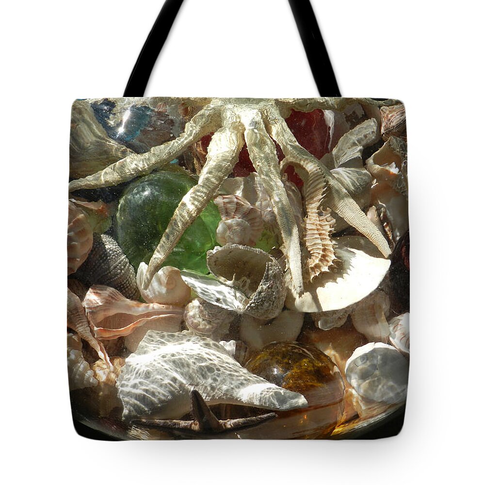 Seashells Tote Bag featuring the photograph Collection in Jar by Deborah Ferree