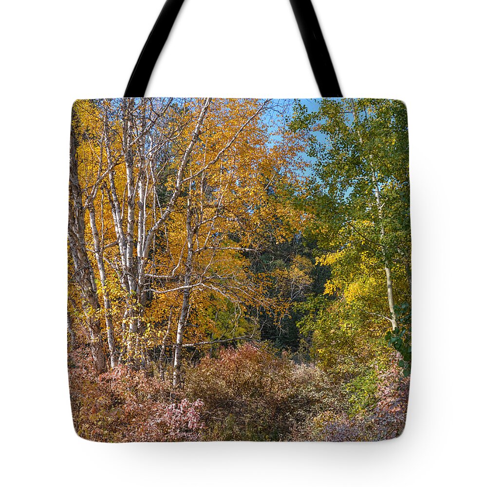 Dakota Tote Bag featuring the photograph Color Burst Along the Little Spearfish by Greni Graph