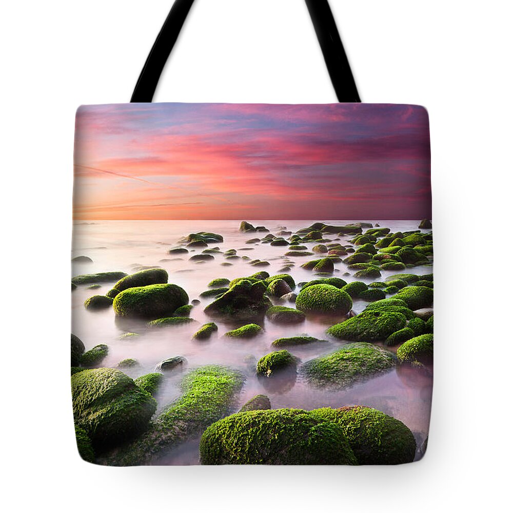 Beach Tote Bag featuring the photograph Color Harmony by Jorge Maia