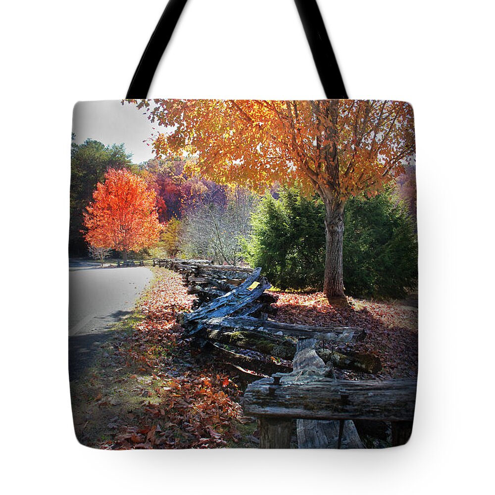 Kelly Hazel Tote Bag featuring the photograph Color by Kelly Hazel