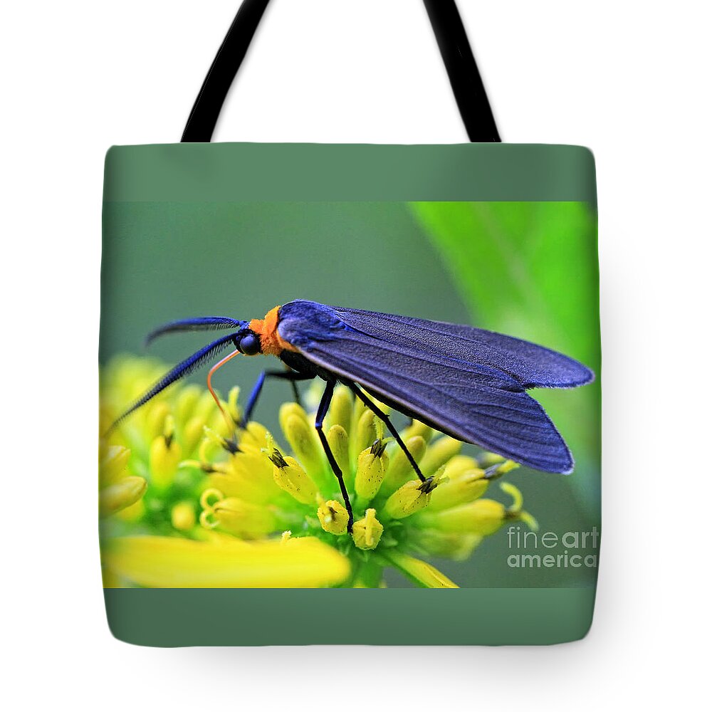 Bugs Tote Bag featuring the photograph Color Me Blue by Geoff Crego