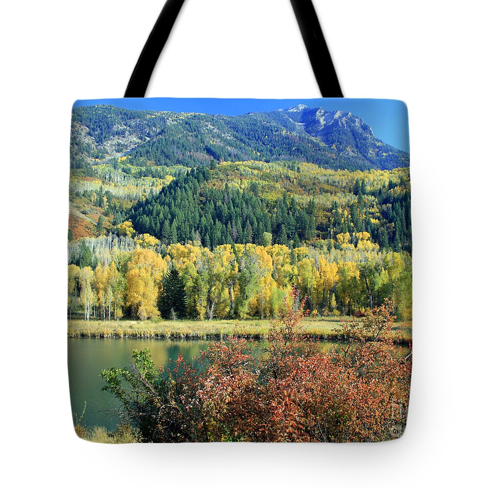 Scenic Tote Bag featuring the photograph Colorado Colors by Bob Hislop