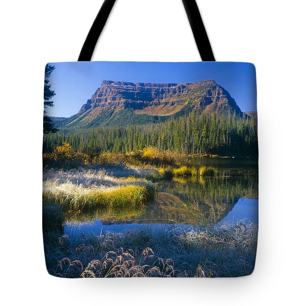 Trappers Lake Tote Bag featuring the photograph Trapper's Lake Sunrise by Mark Miller