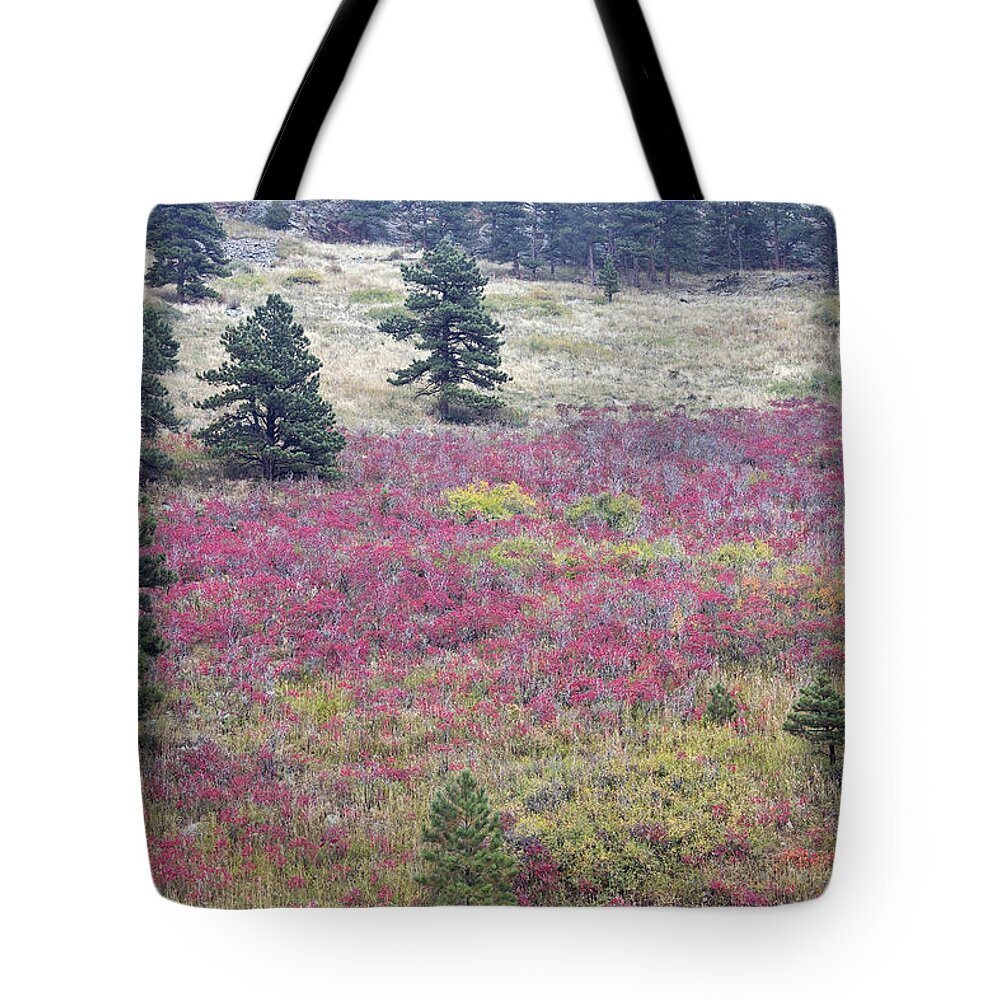 Red Tote Bag featuring the photograph Colorado Red by James BO Insogna