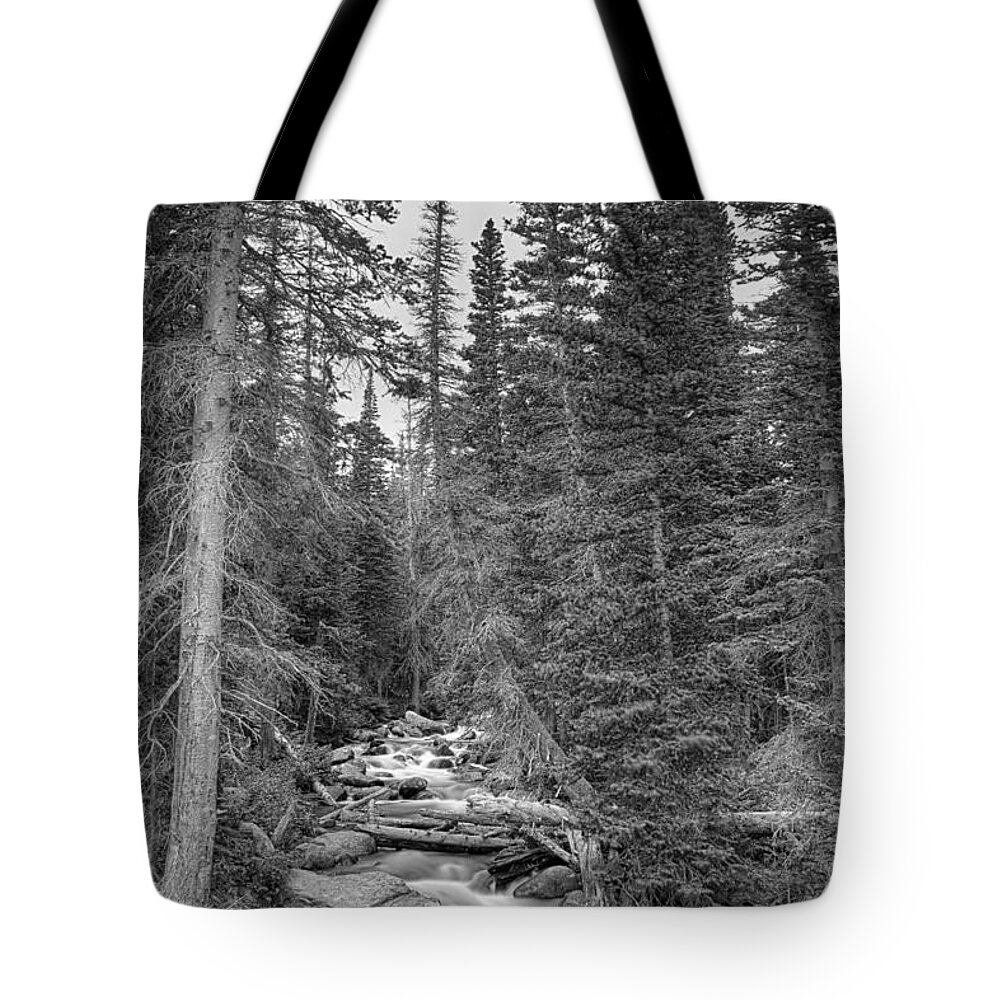 Mountain Stream Tote Bag featuring the photograph Colorado Rocky Mountain Flowing Stream BW by James BO Insogna