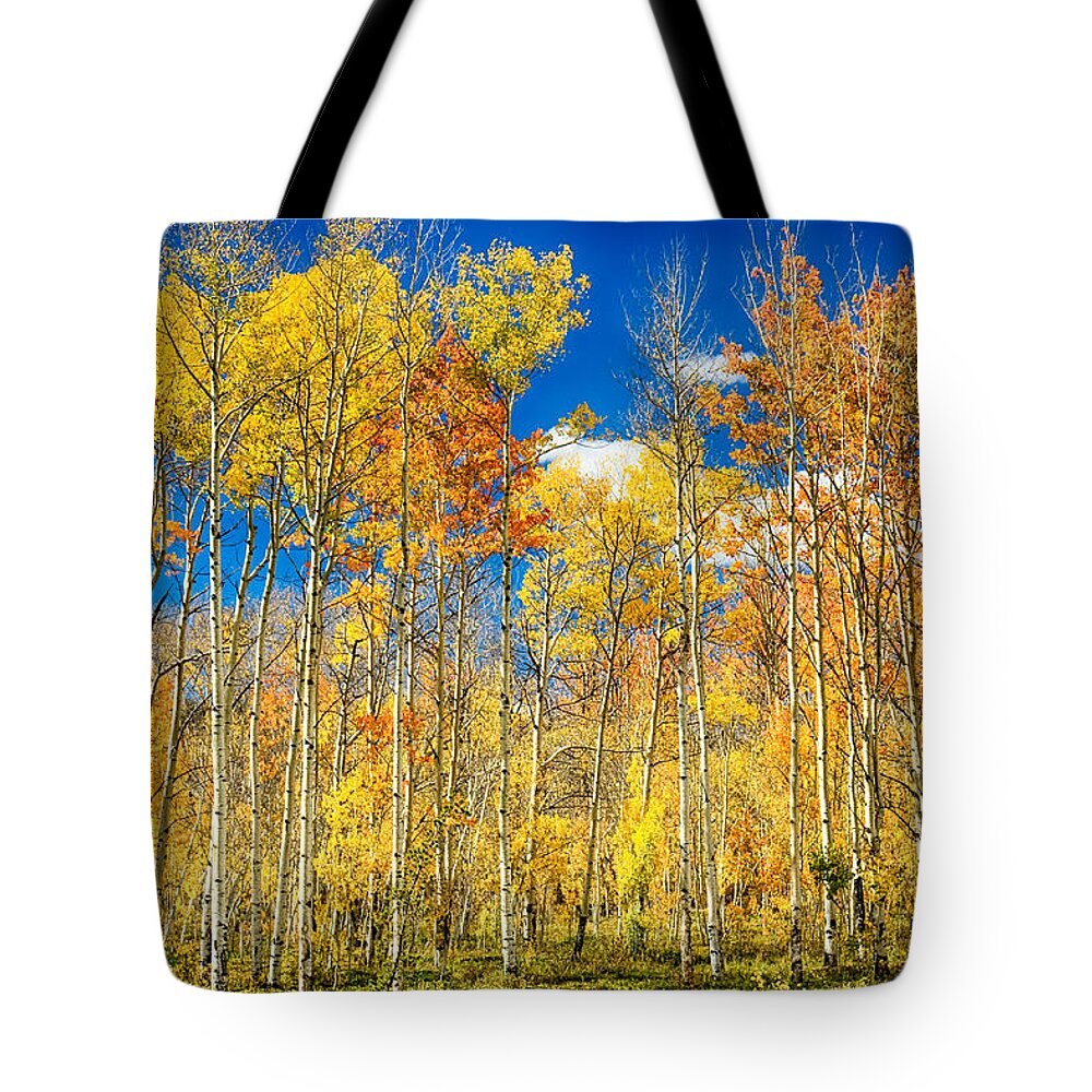 Aspen Tote Bag featuring the photograph Colorful Colorado Autumn Aspen Trees by James BO Insogna