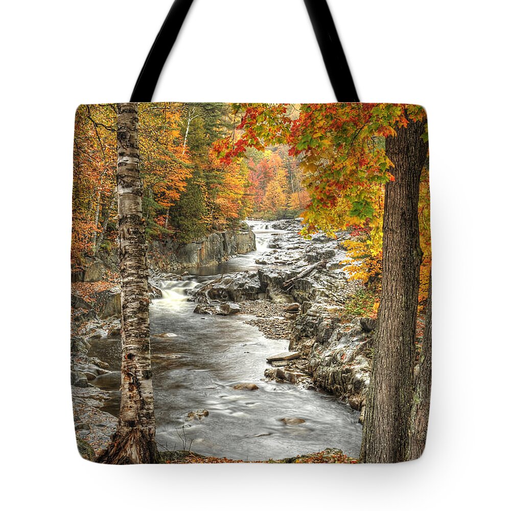 Photograph Tote Bag featuring the photograph Colorful Creek by Richard Gehlbach