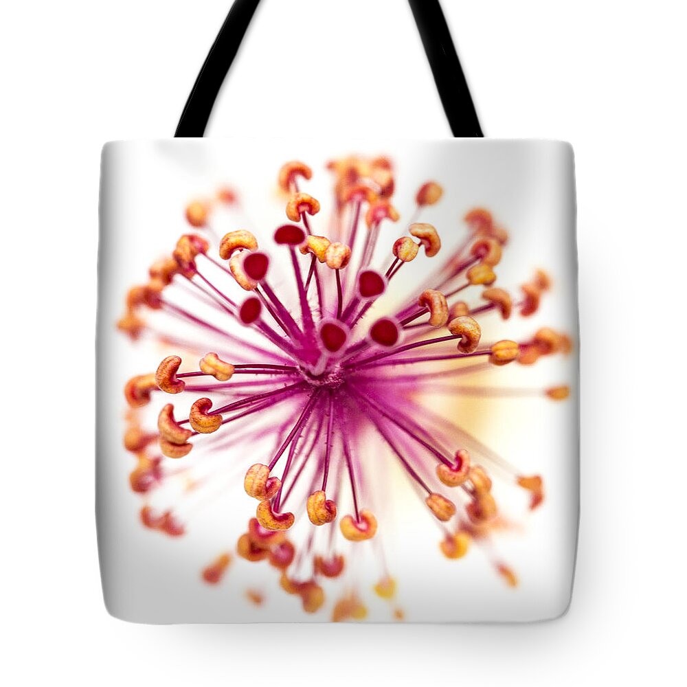 Hawaii 2014 Tote Bag featuring the photograph Colorful Macro Flower by Susan Stone