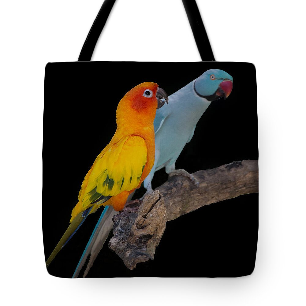Bird Tote Bag featuring the photograph Sun Conure and Ring Neck Parakeet by Richard Goldman