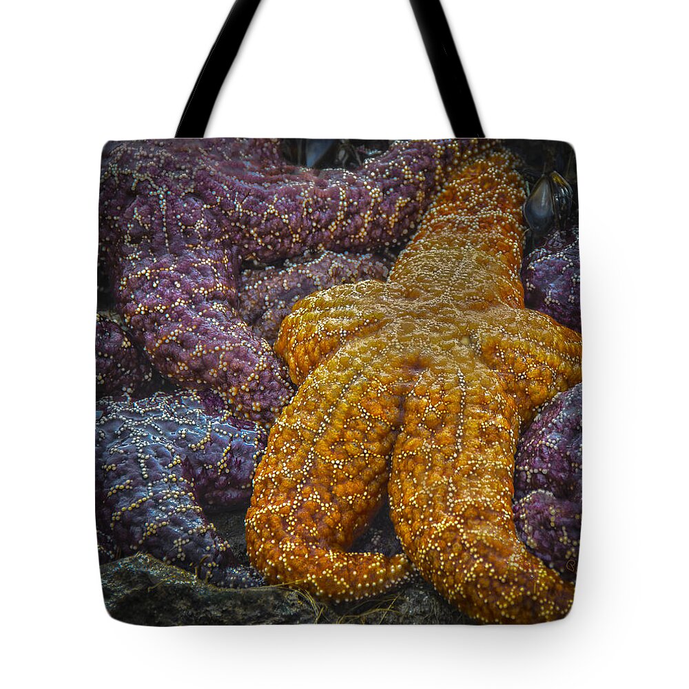 Beach Tote Bag featuring the photograph Colorful Starfish by Penny Lisowski
