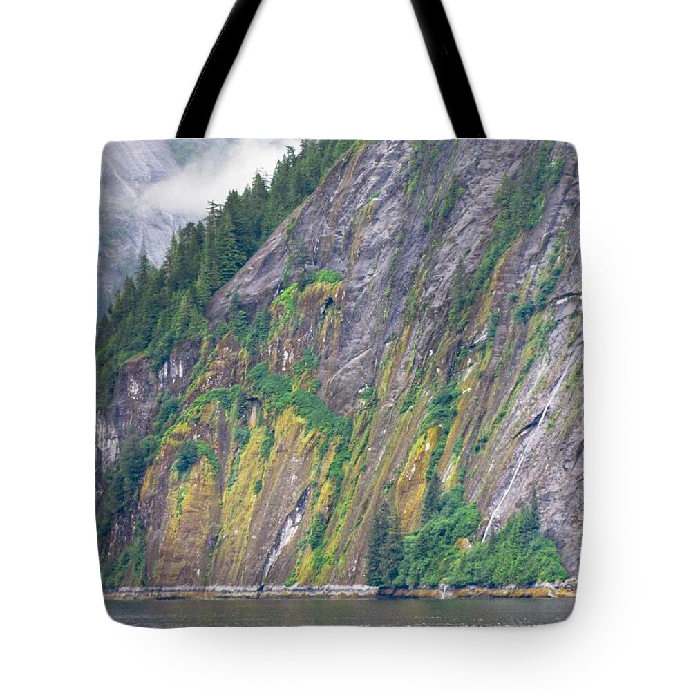 Landscape Tote Bag featuring the photograph Colors of Alaska - Misty Fjords by Natalie Rotman Cote