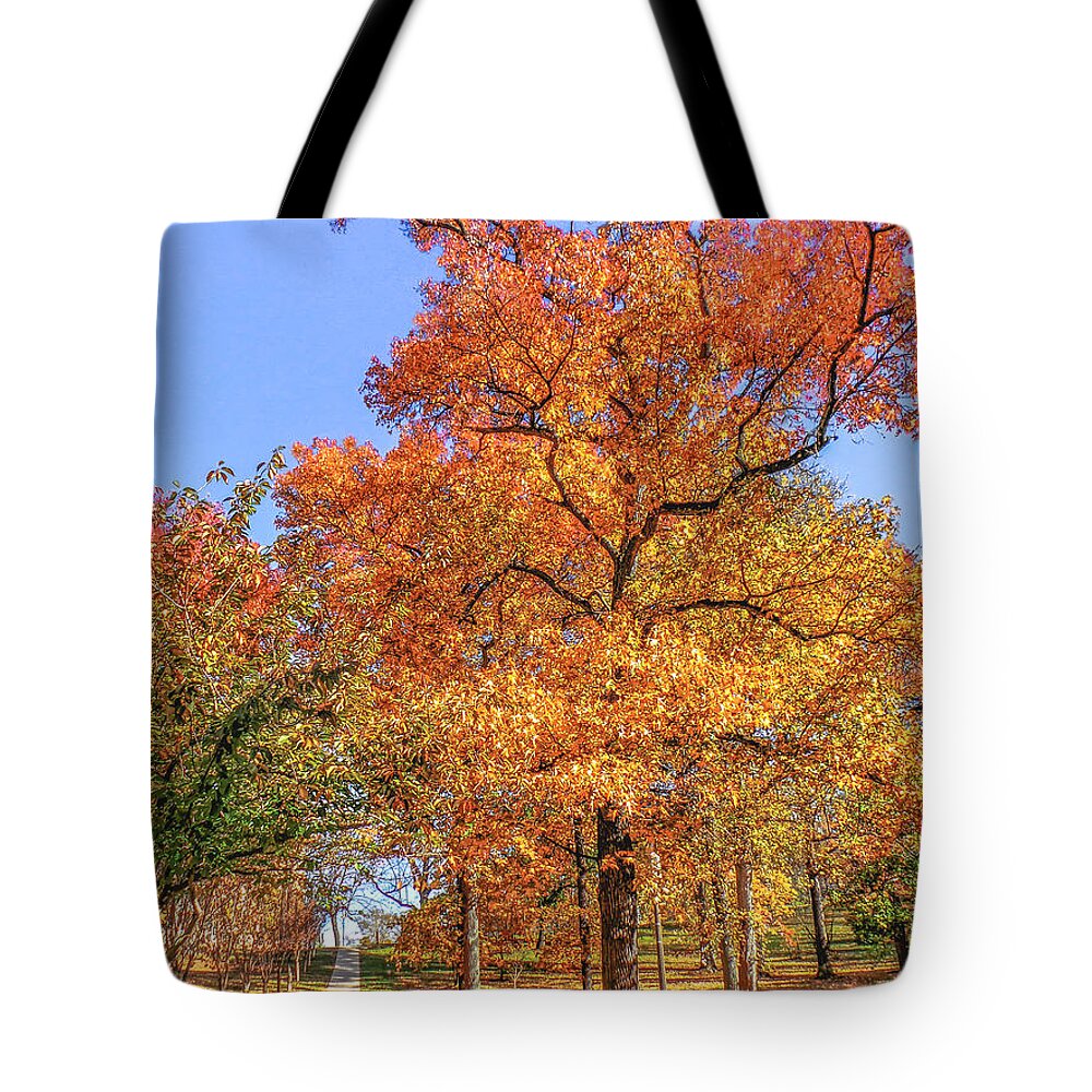 Autumn Leaves Tote Bag featuring the photograph Colors of Fall by Charlie Cliques